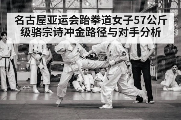 taekwondo competition