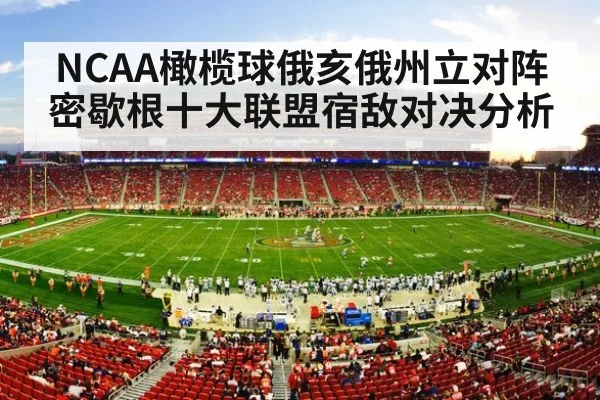 american football stadium crowd